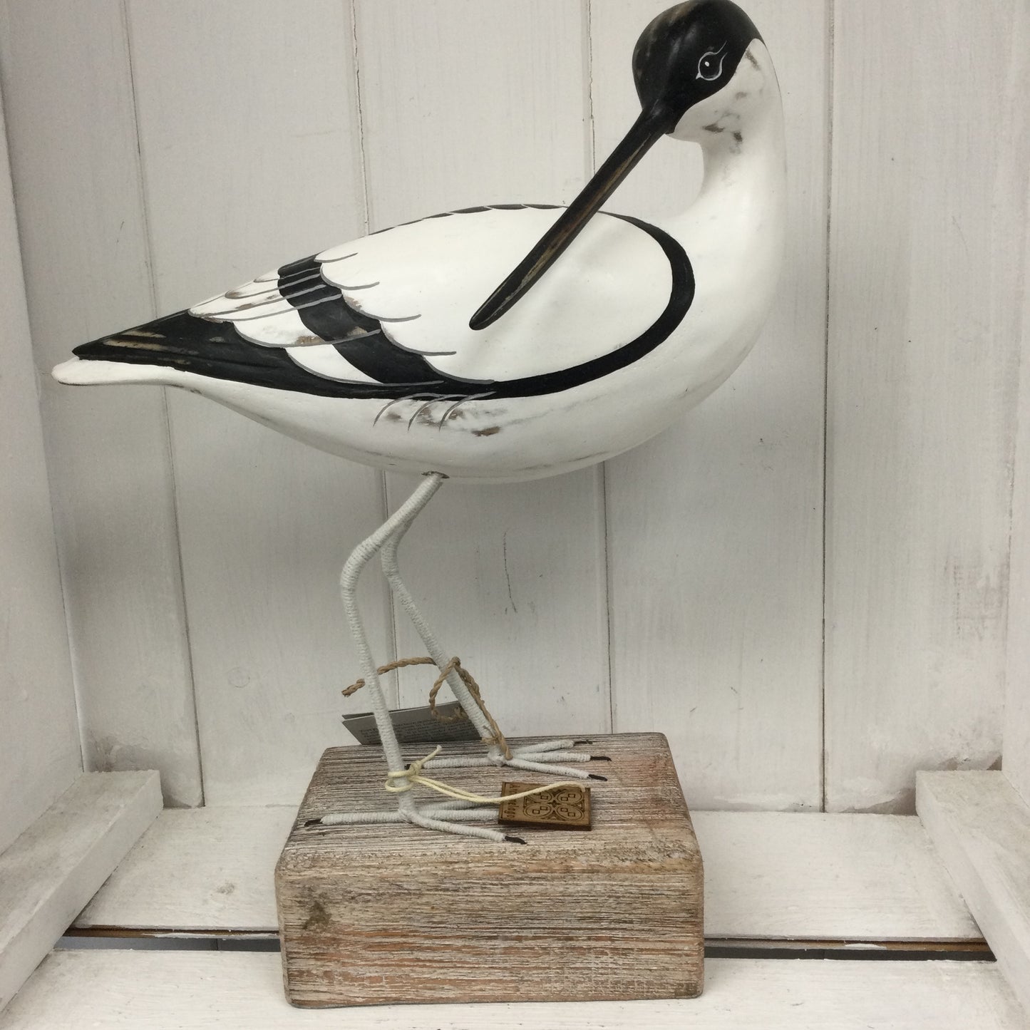 Avocet Preening
