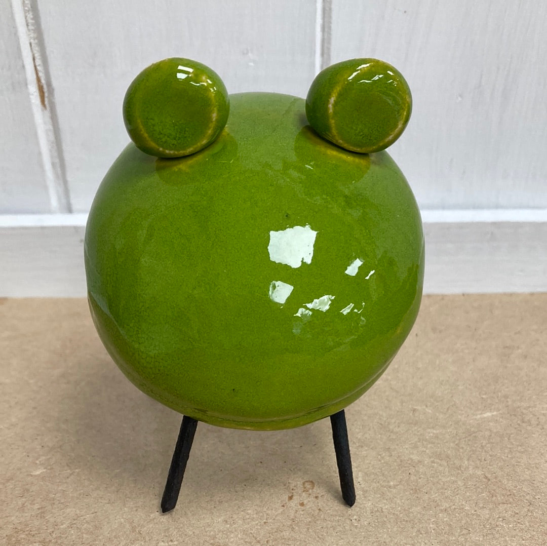 Smiling Green Frog