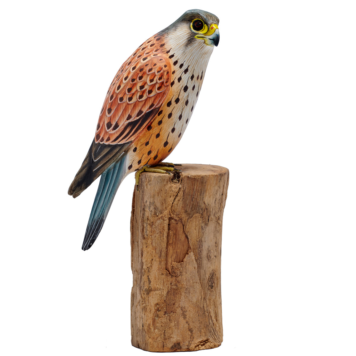 Kestrel