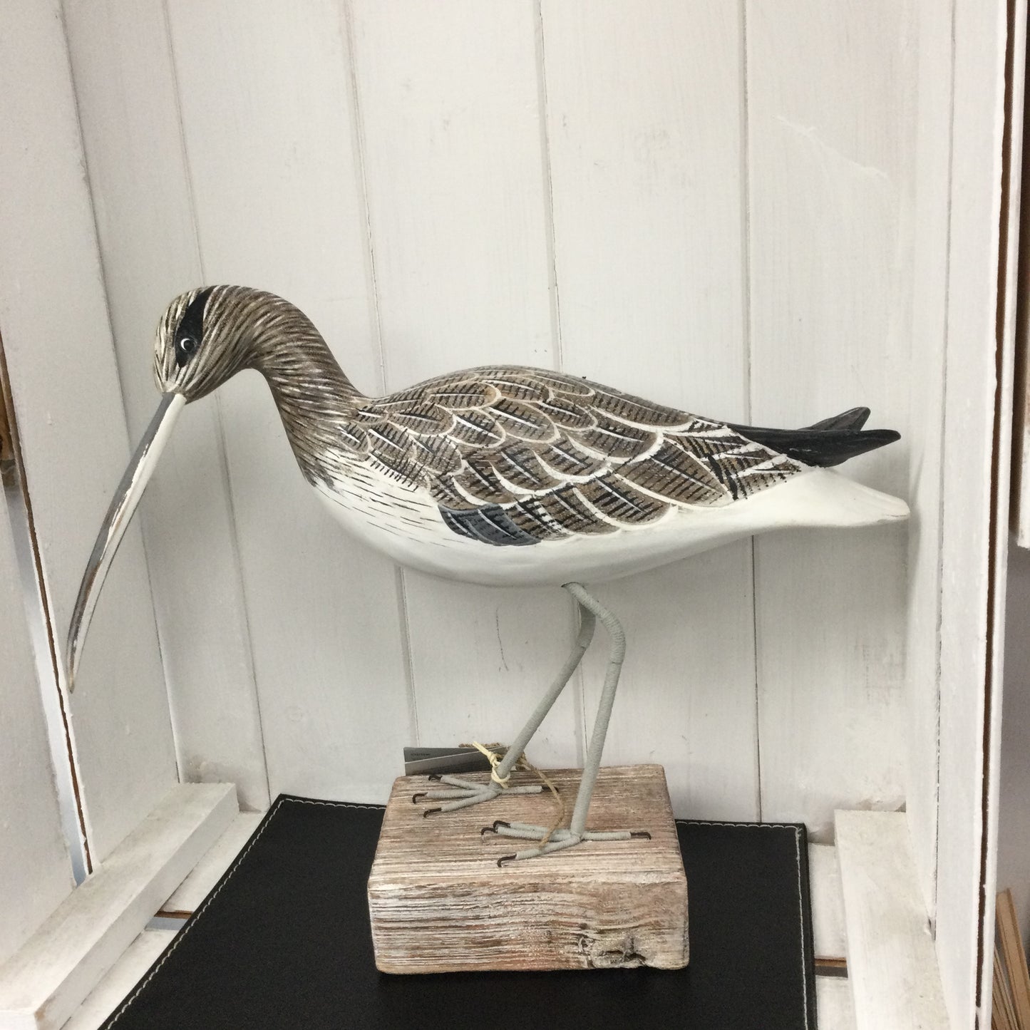 Curlew Walking