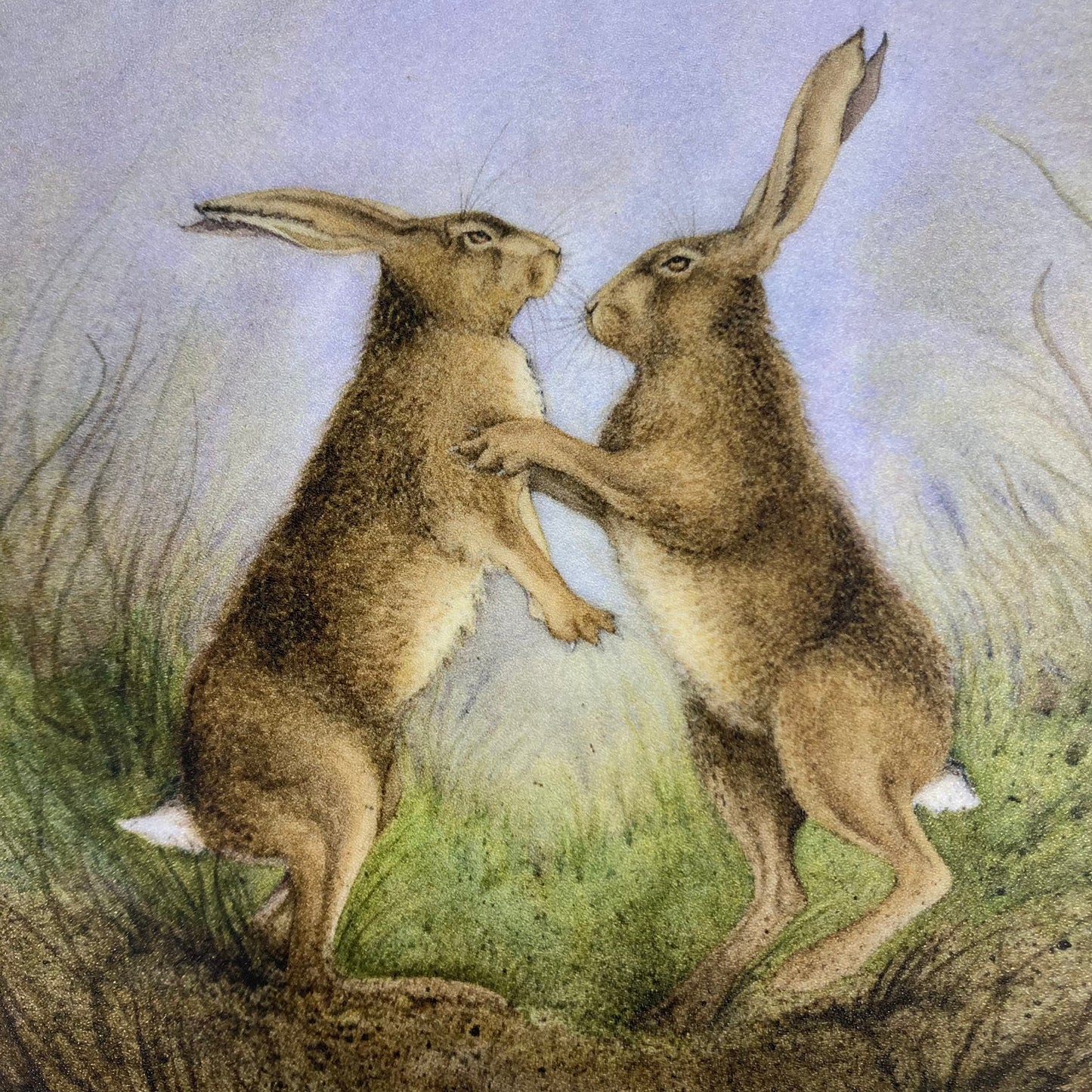 COASTERS ( Boxing Hares)