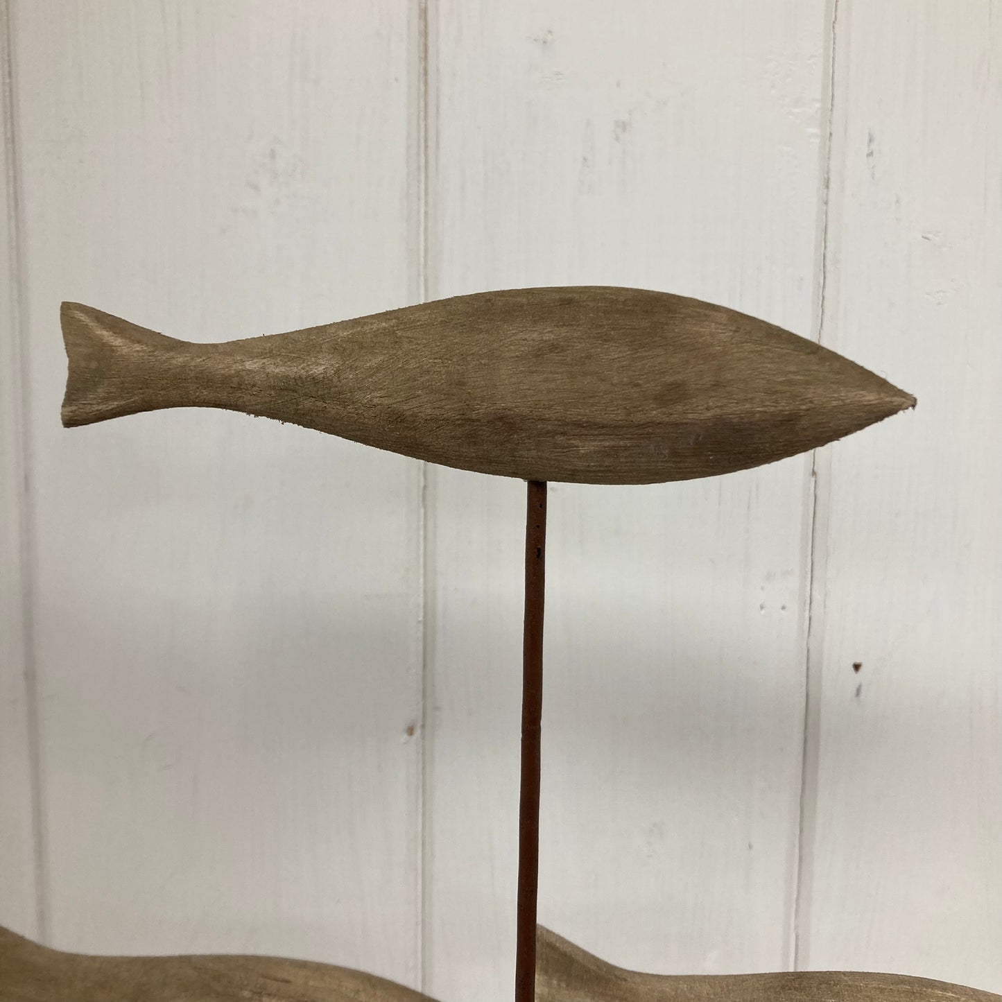 Swimming Fish on Driftwood