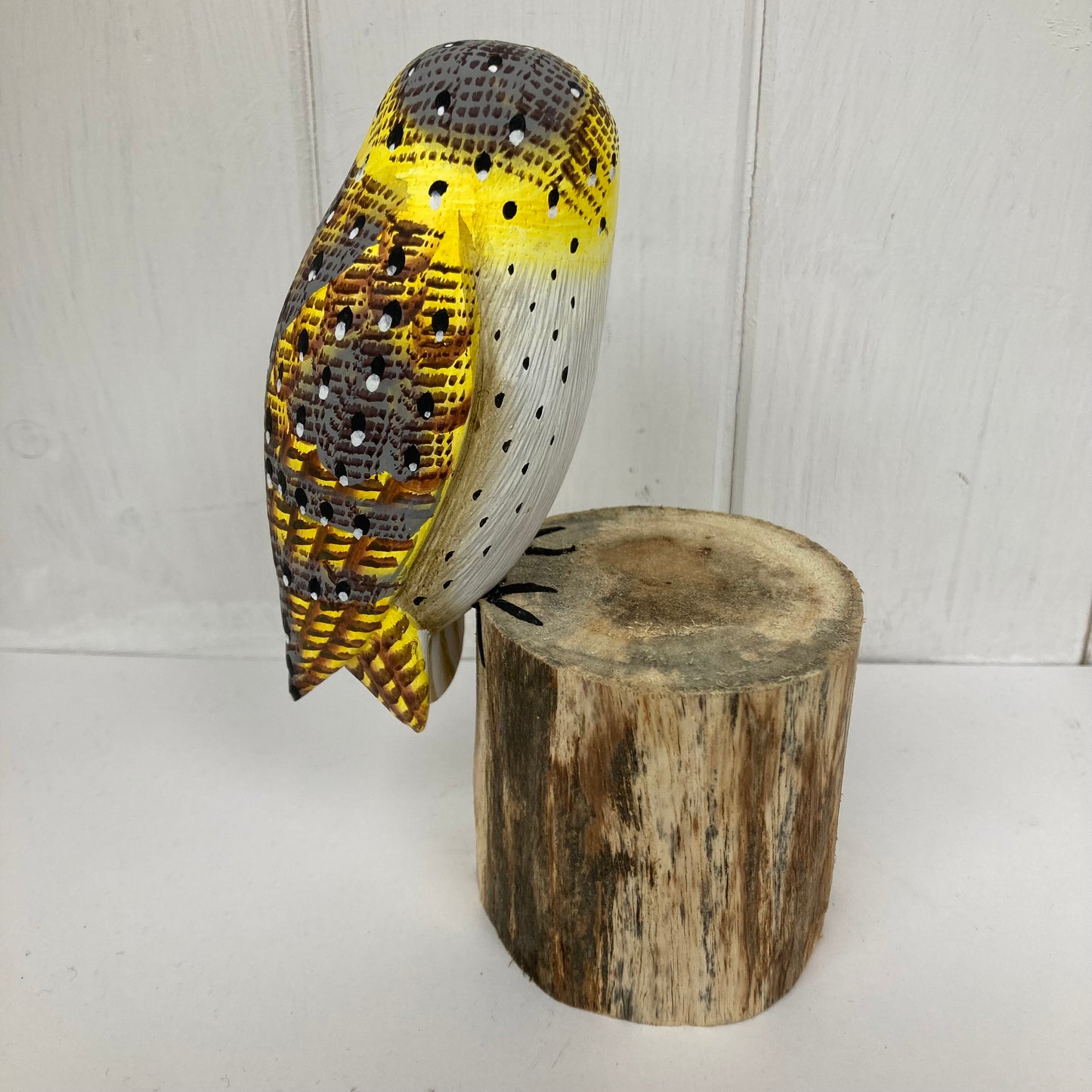 Barn Owl