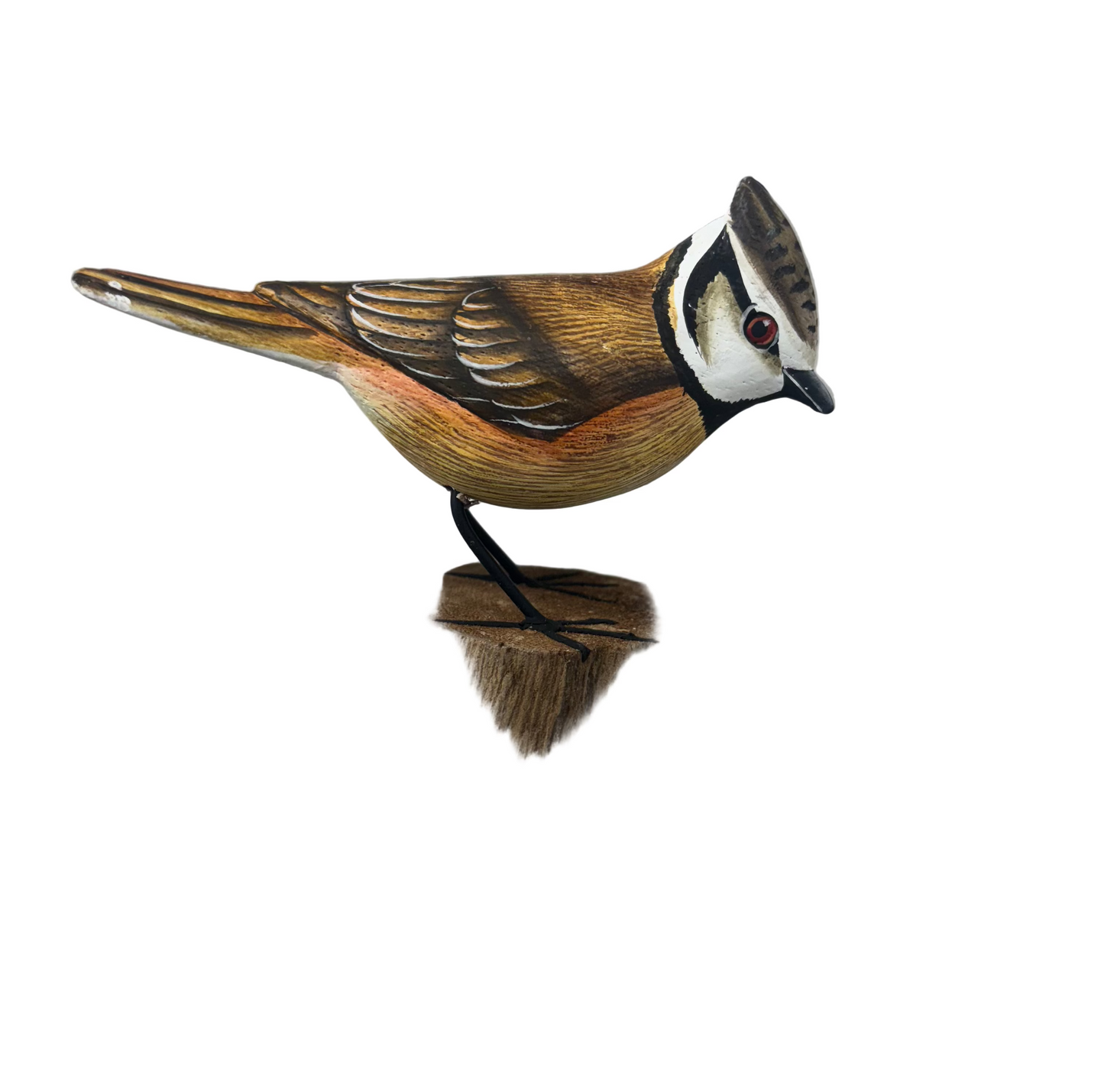 Crested Tit