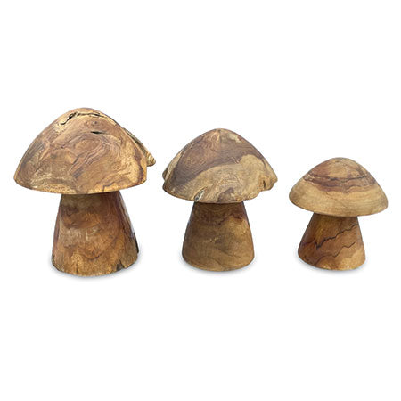 Teak Root Mushrooms (available in 3 sizes)
