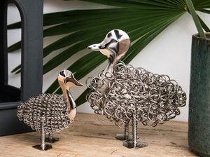 Wiggle Duck - The Coast Office