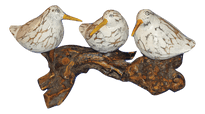 Bool Birds on Coffee Root - The Coast Office