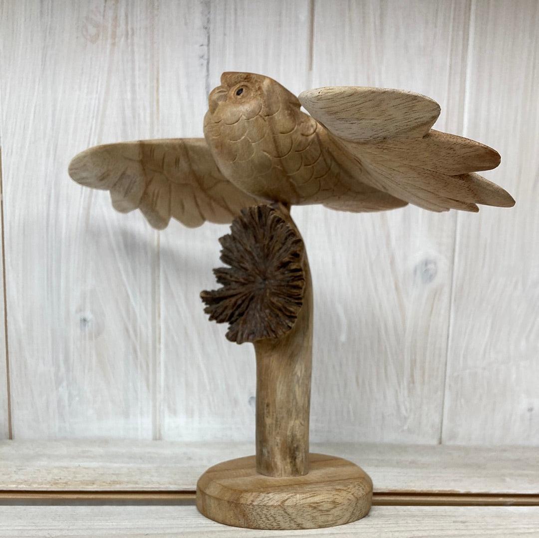 Flying Owl - The Coast Office