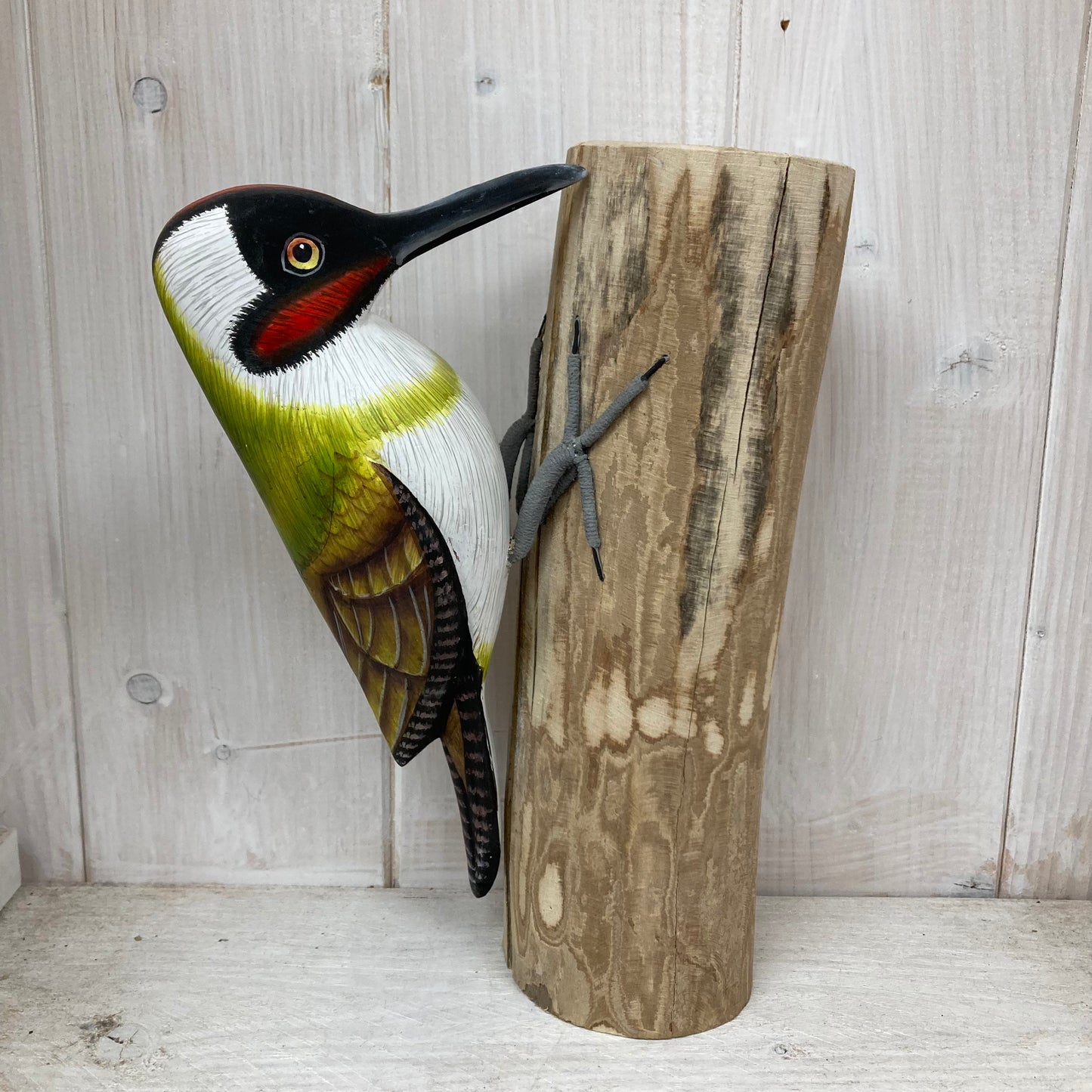 Green Woodpecker on Driftwood - The Coast Office