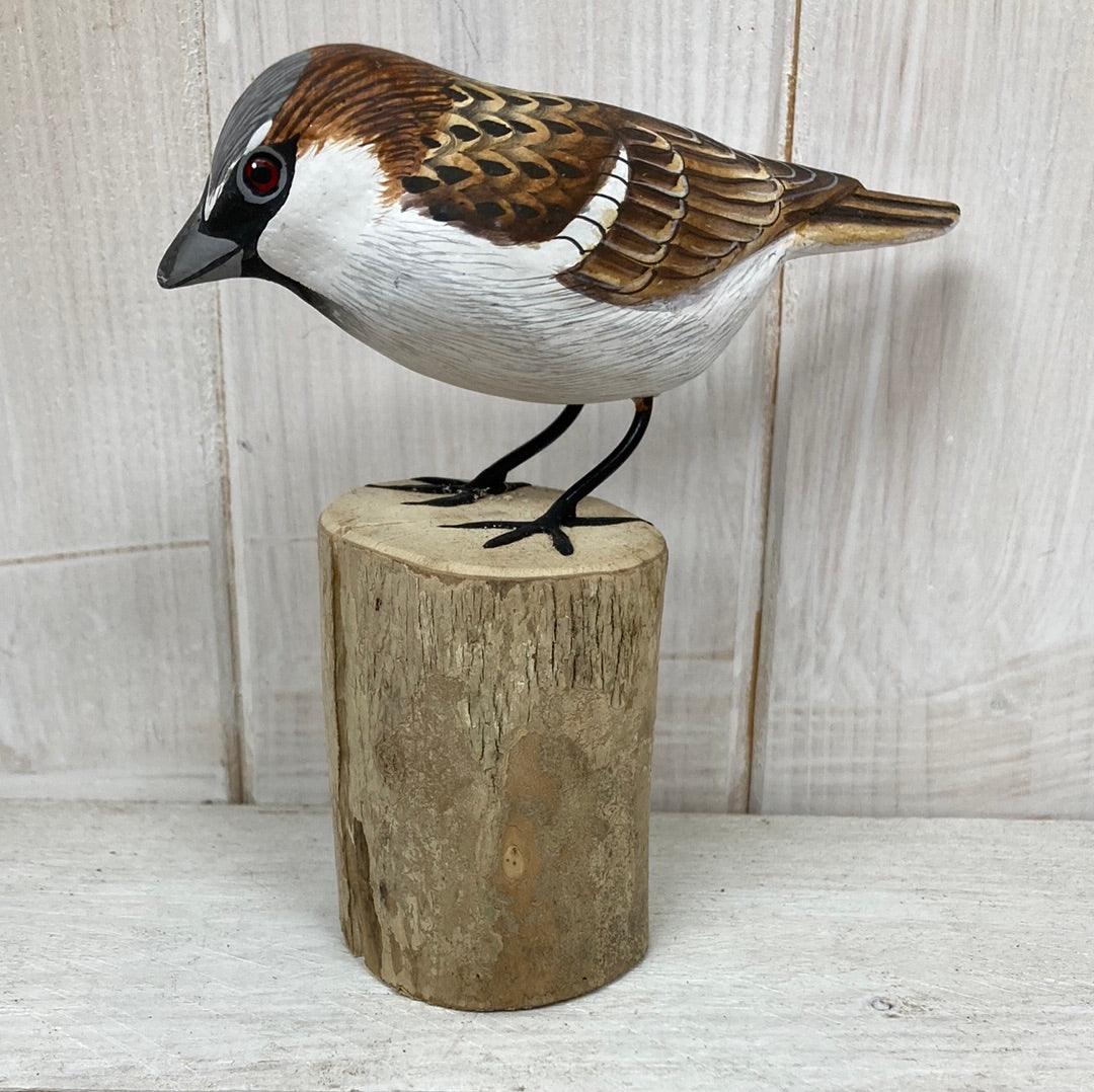 Sparrow - The Coast Office