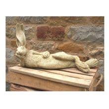 Lazy Hare Day - The Coast Office