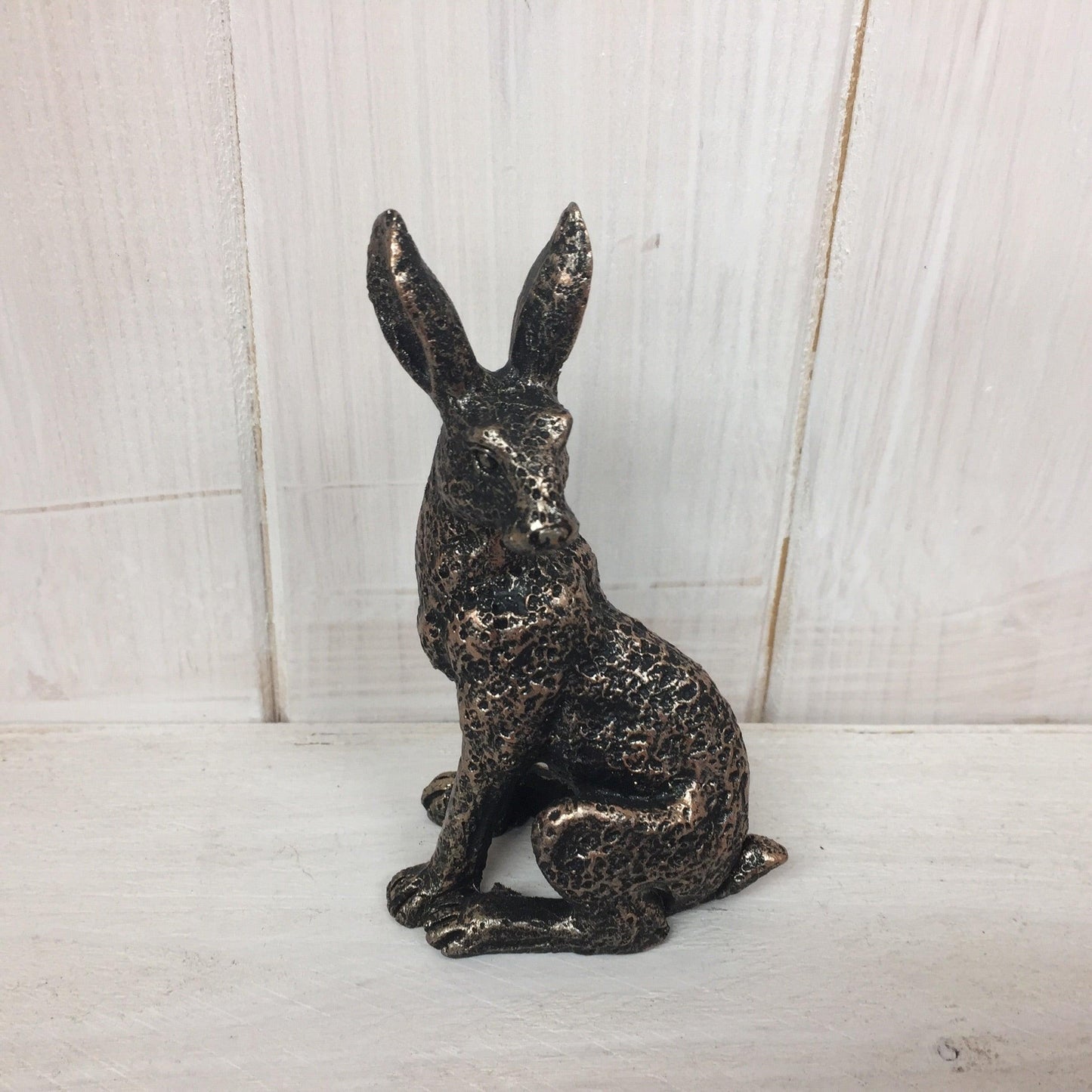 Miniature Hares - The Coast Office