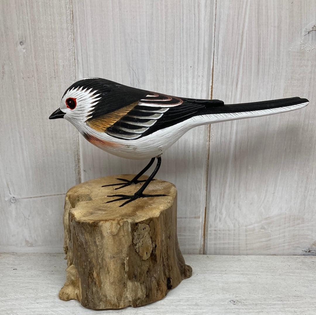 Long Tailed Tit - The Coast Office