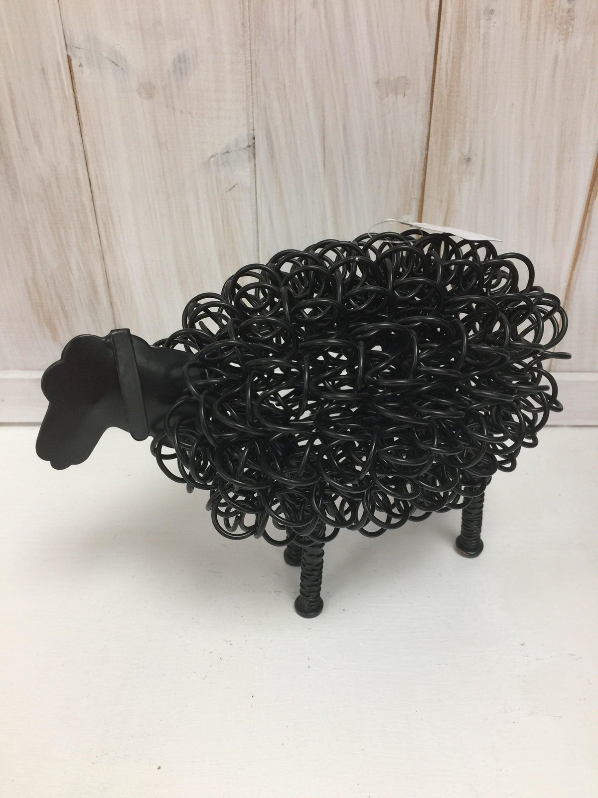Wiggle Sheep - The Coast Office