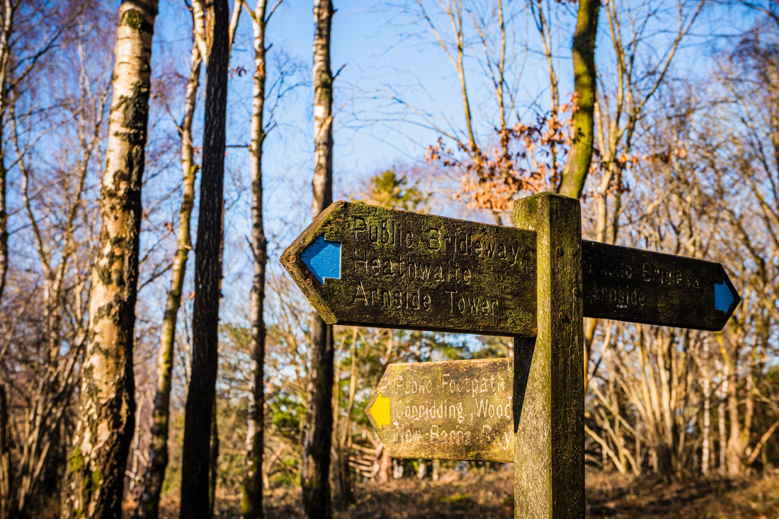 Things to Do in Arnside & Morecambe Bay: A Local Guide