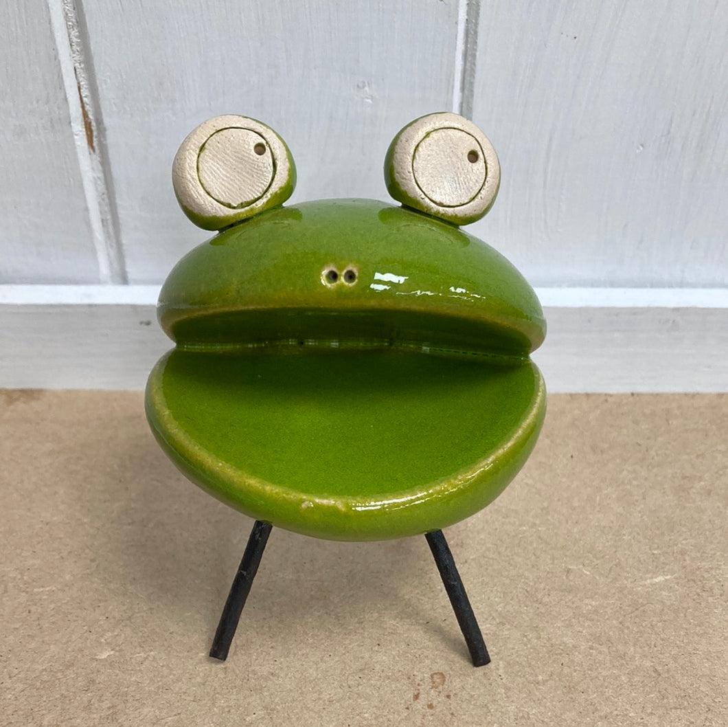 Smiling Green Frog