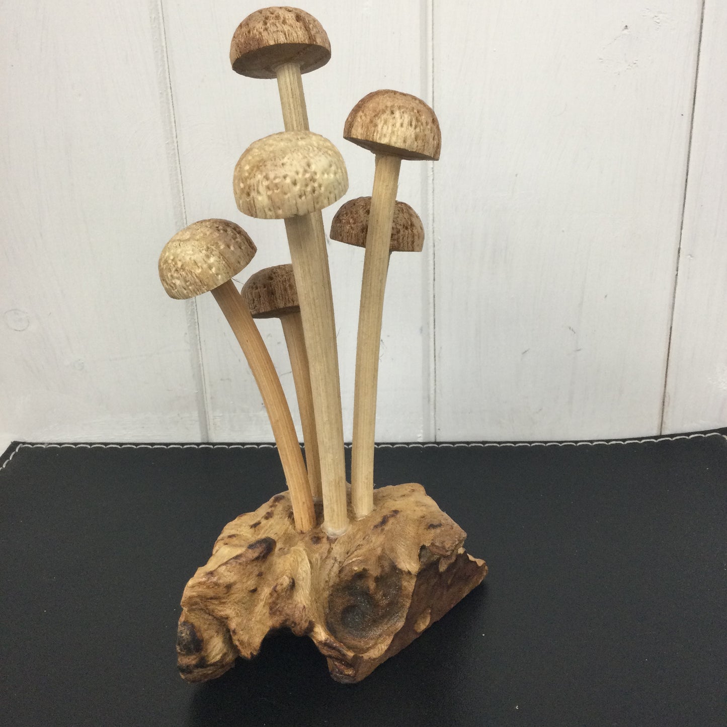 Skinny Mushroom Forest