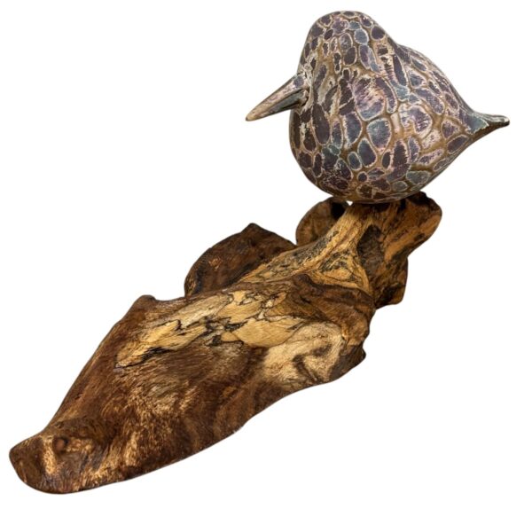 Painted Abstract Bird on root