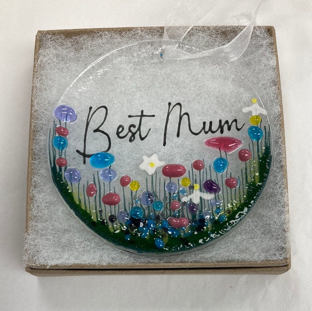 Fused Glass Hangings