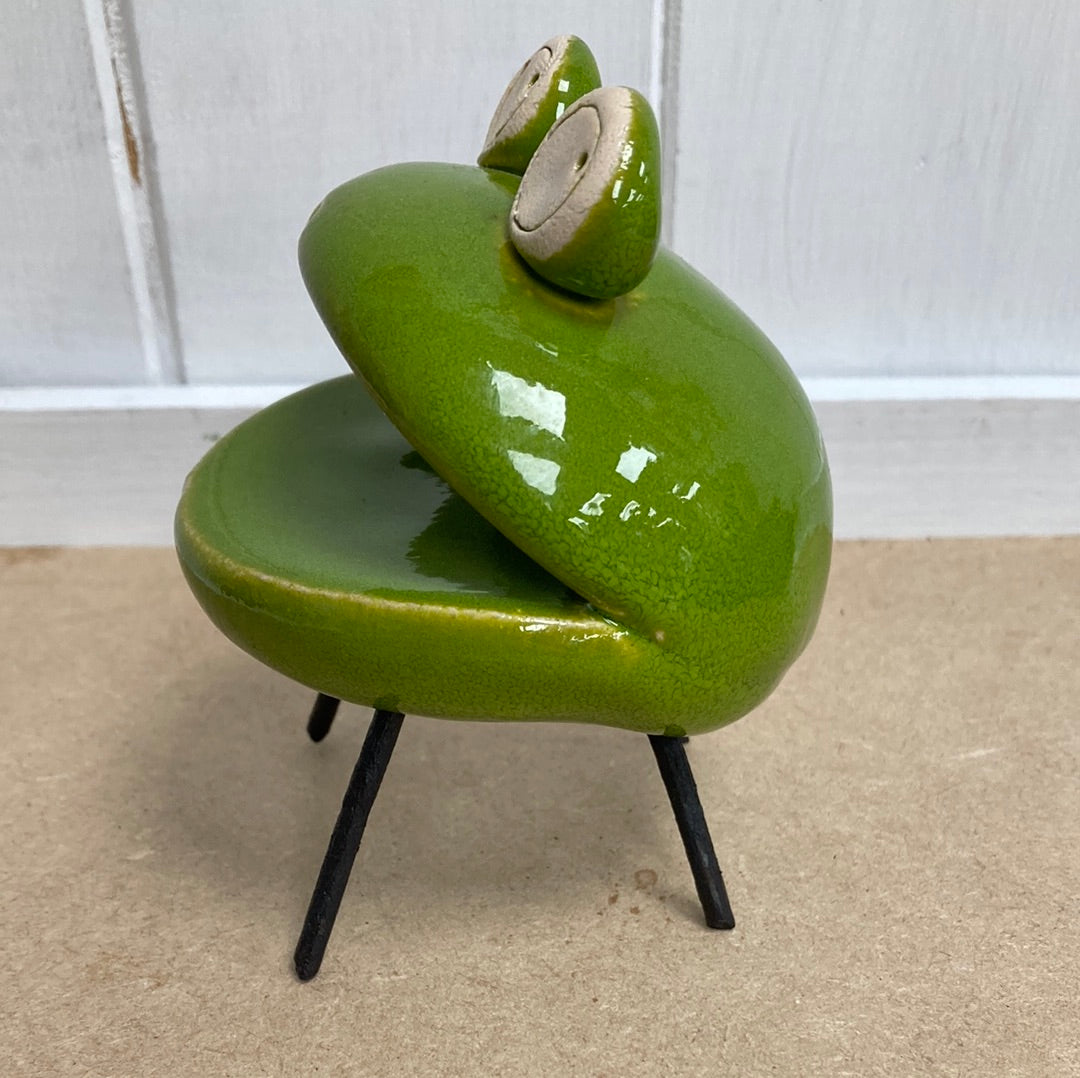 Smiling Green Frog