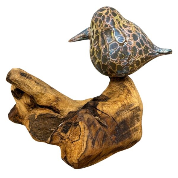 Painted Abstract Bird on root