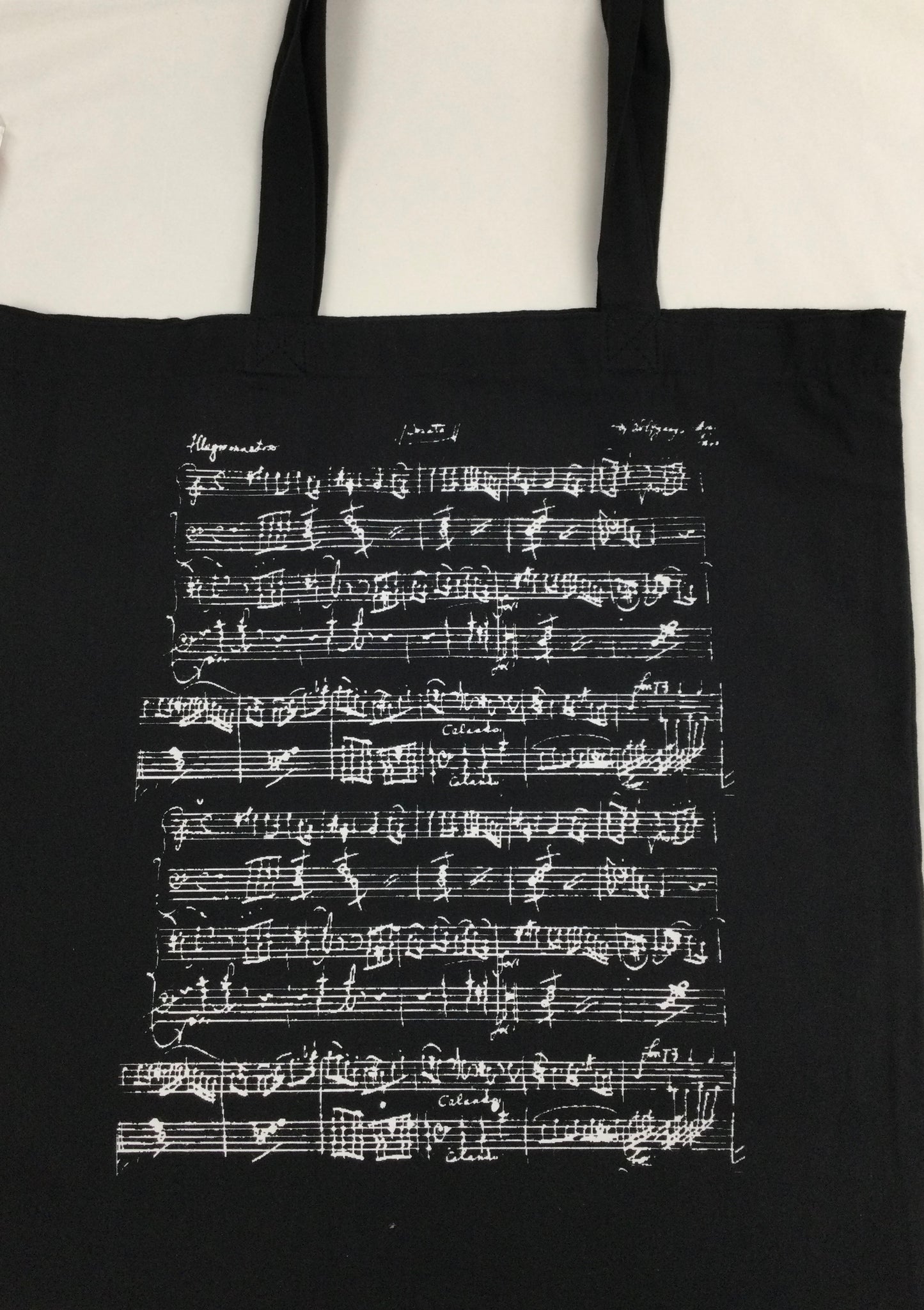 Muziekpen