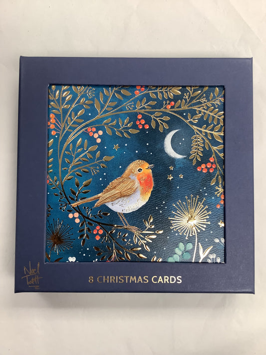 Premium Christmas Card Boxes (B)