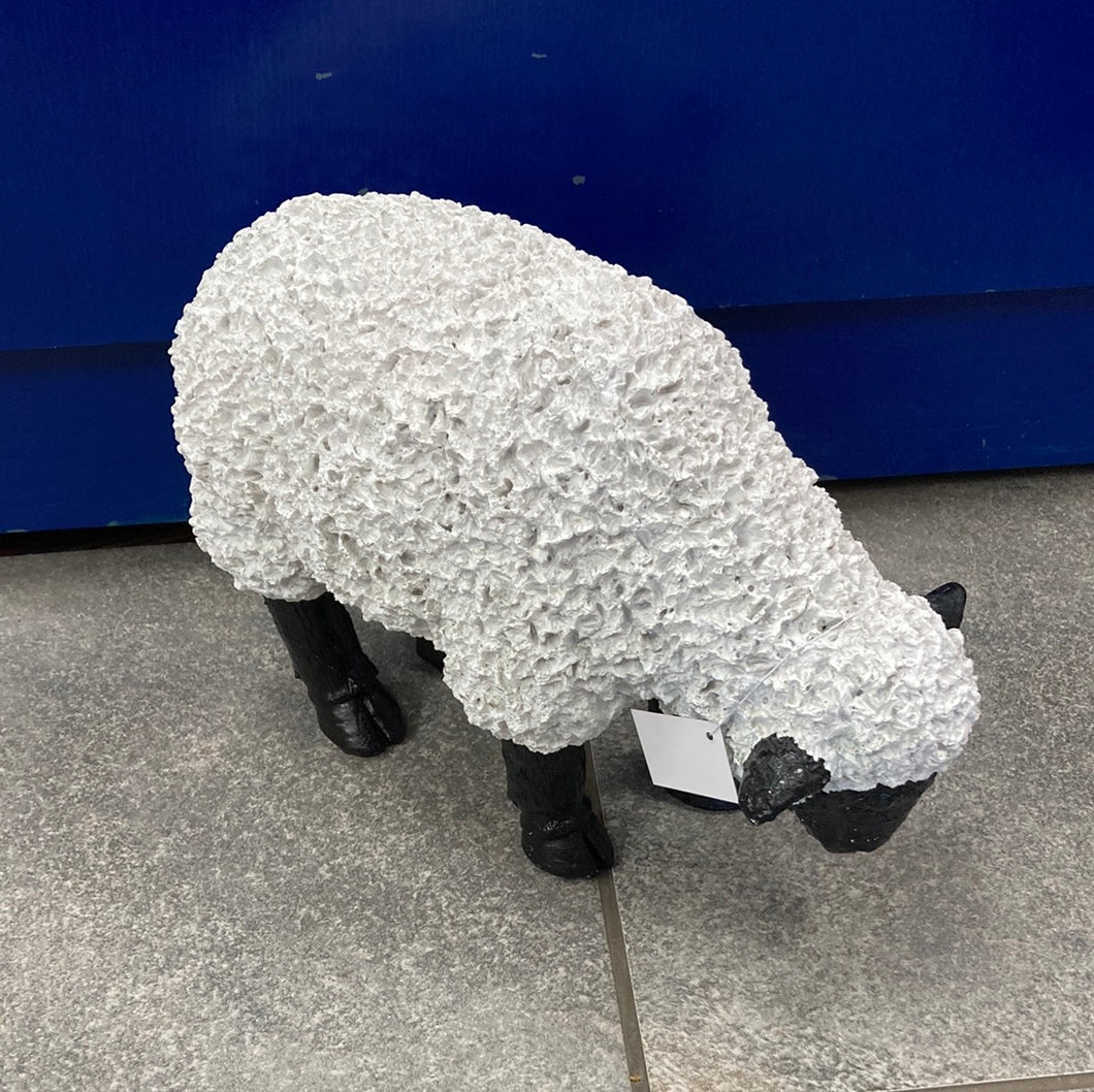 Large Sheep