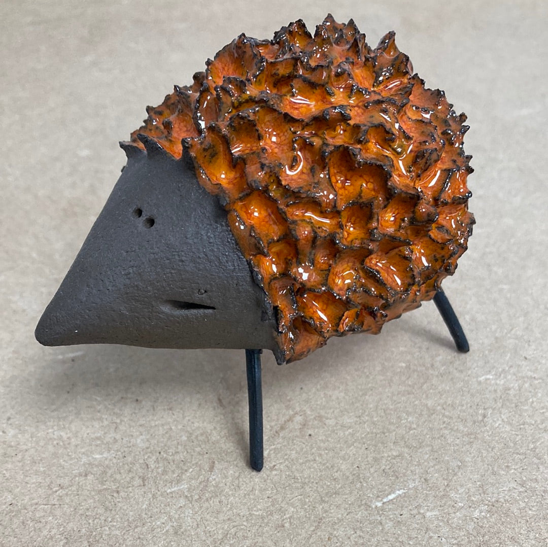Spiky Hedgehog