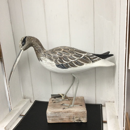 Curlew Walking