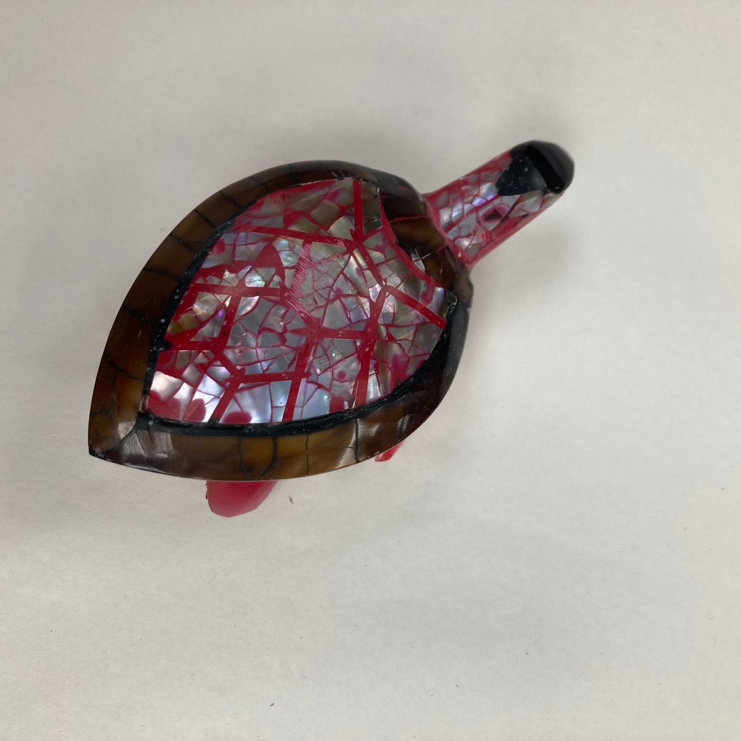 Schelpschildpad: verschillende kleuren