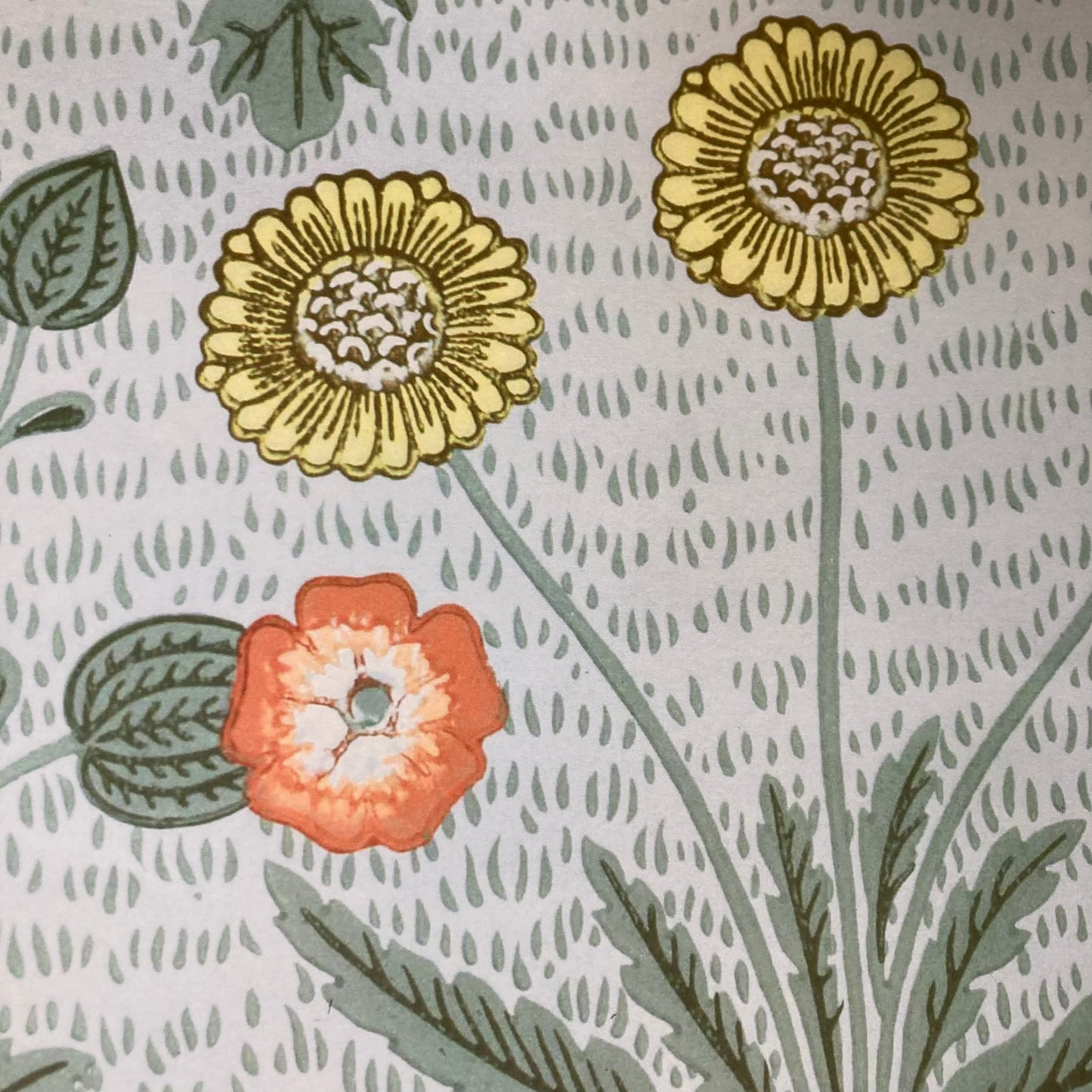 Wrapping Paper Sheet: Daisy