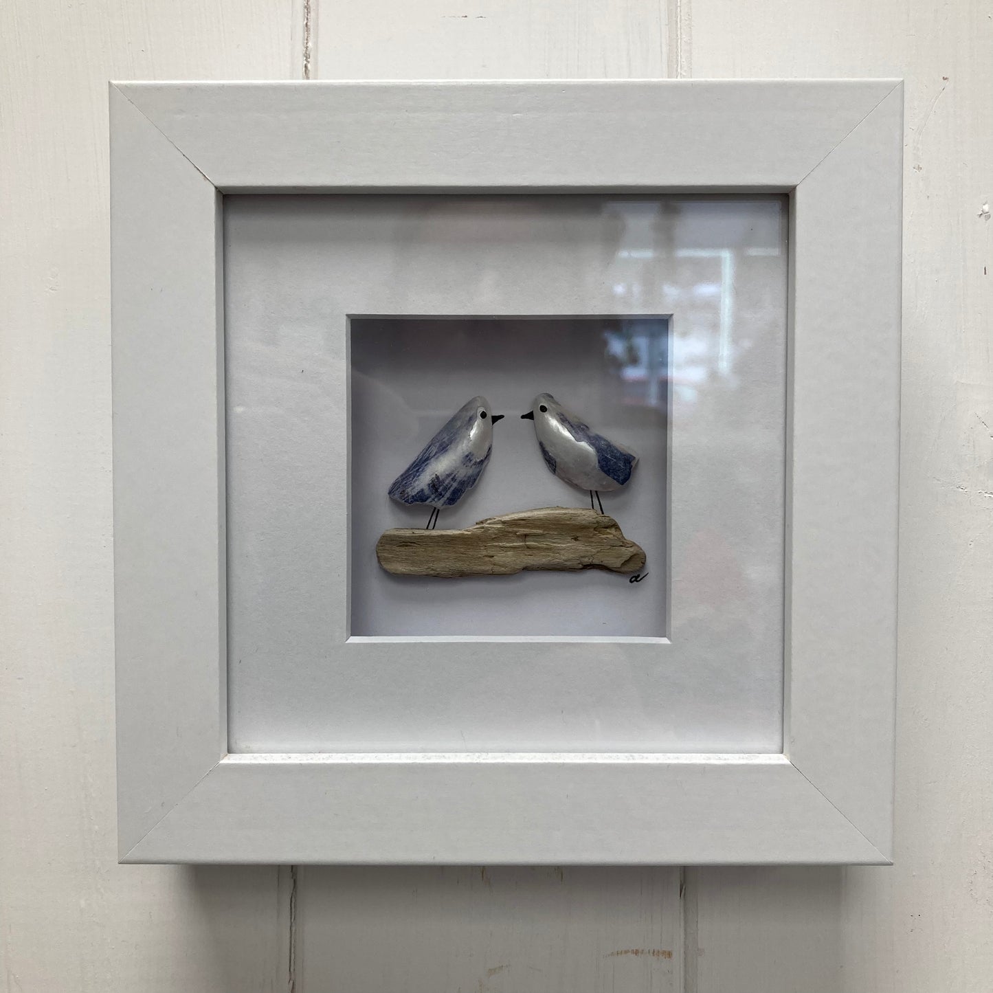 Mussel Shell Gull Pictures