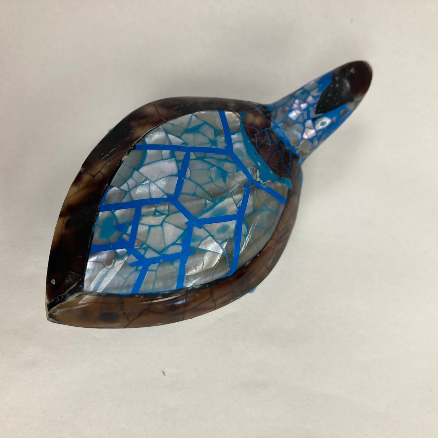 Schelpschildpad: verschillende kleuren
