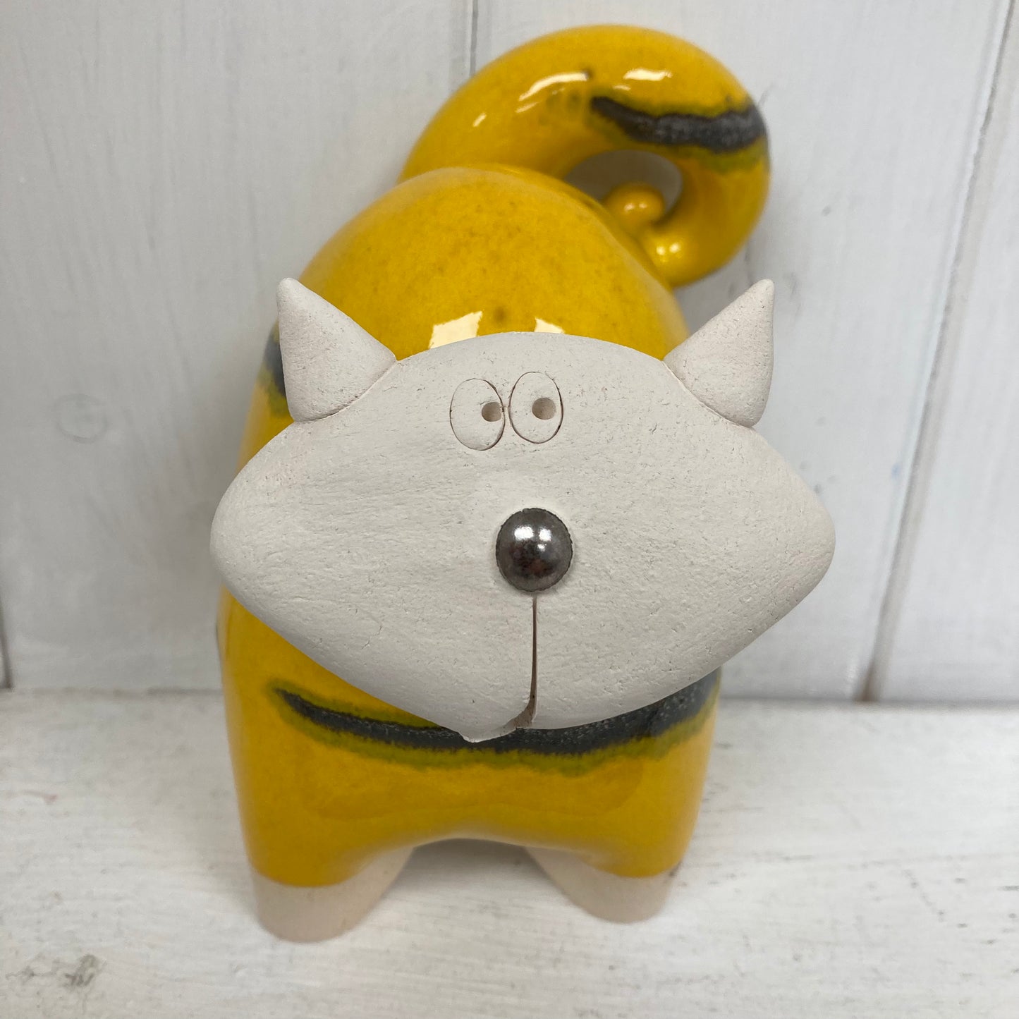 Chunky Cat