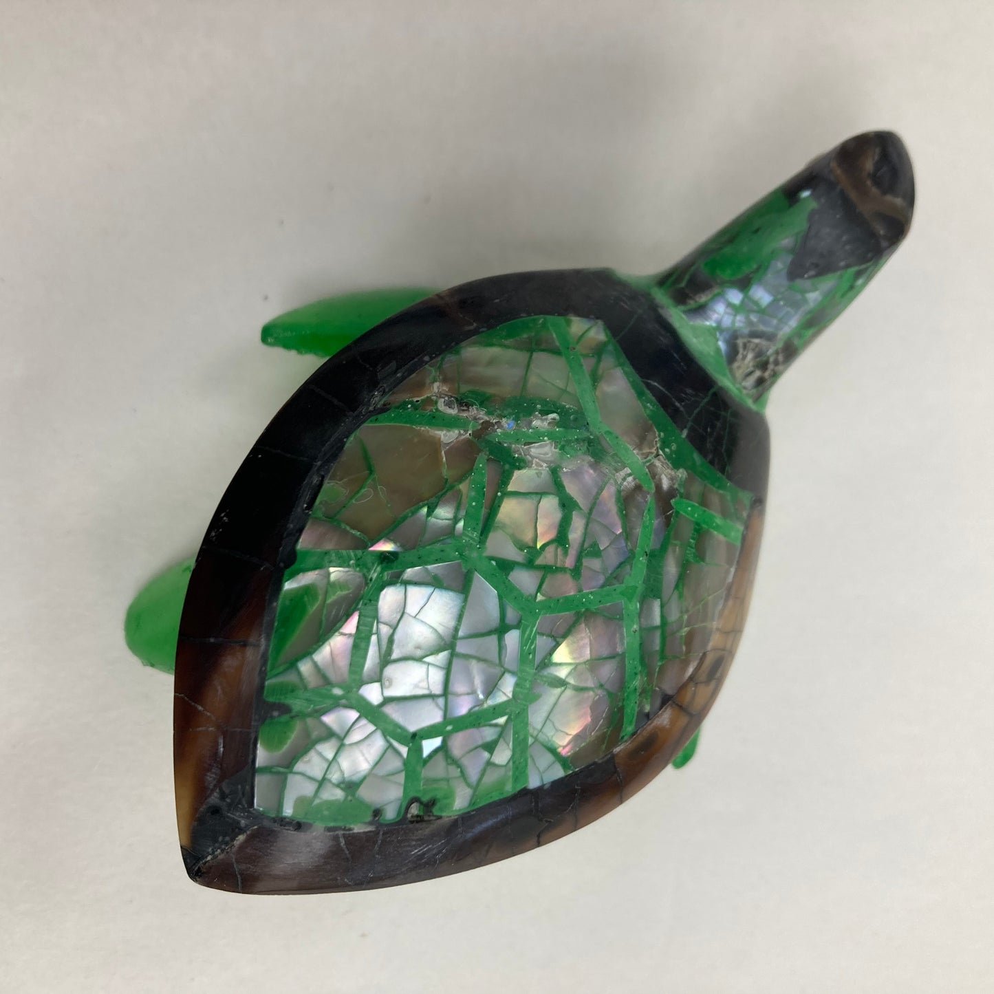 Schelpschildpad: verschillende kleuren