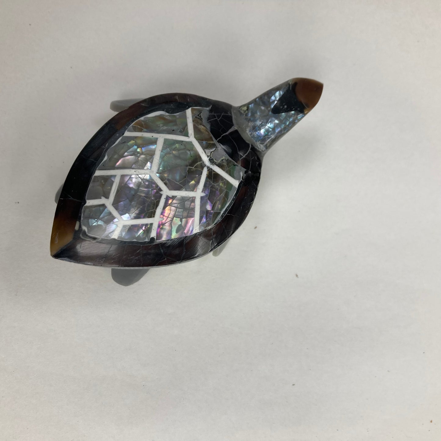 Schelpschildpad: verschillende kleuren