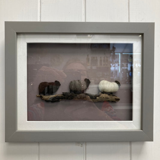 Woolly Sheep Pictures