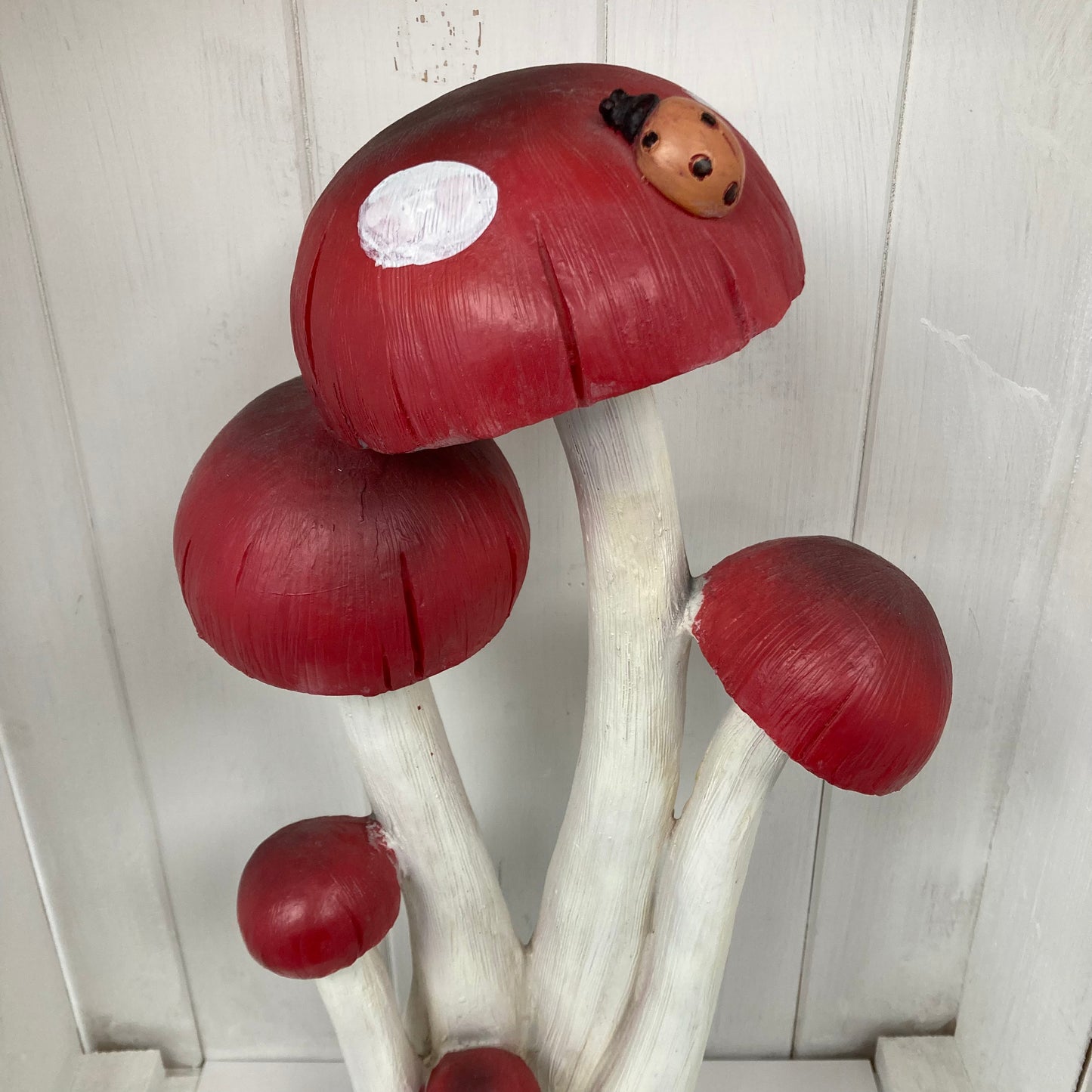 Paddestoel Rode Vlek Lieveheersbeestje