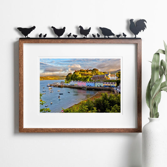 Cockeral, Hens and Chicks - Shape Shadows