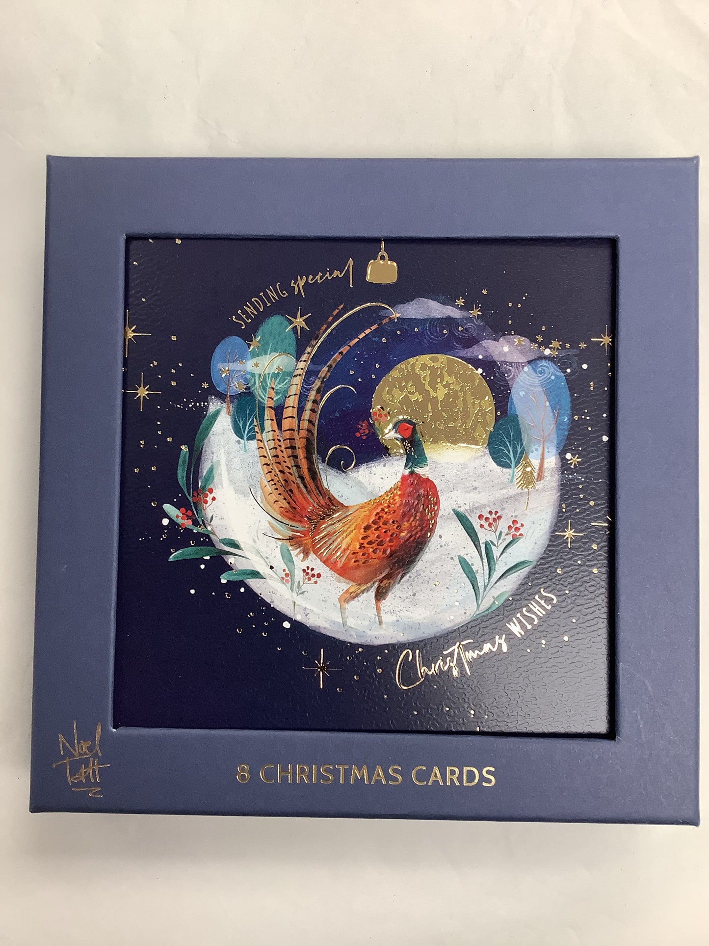 Premium Christmas Card Boxes (B)
