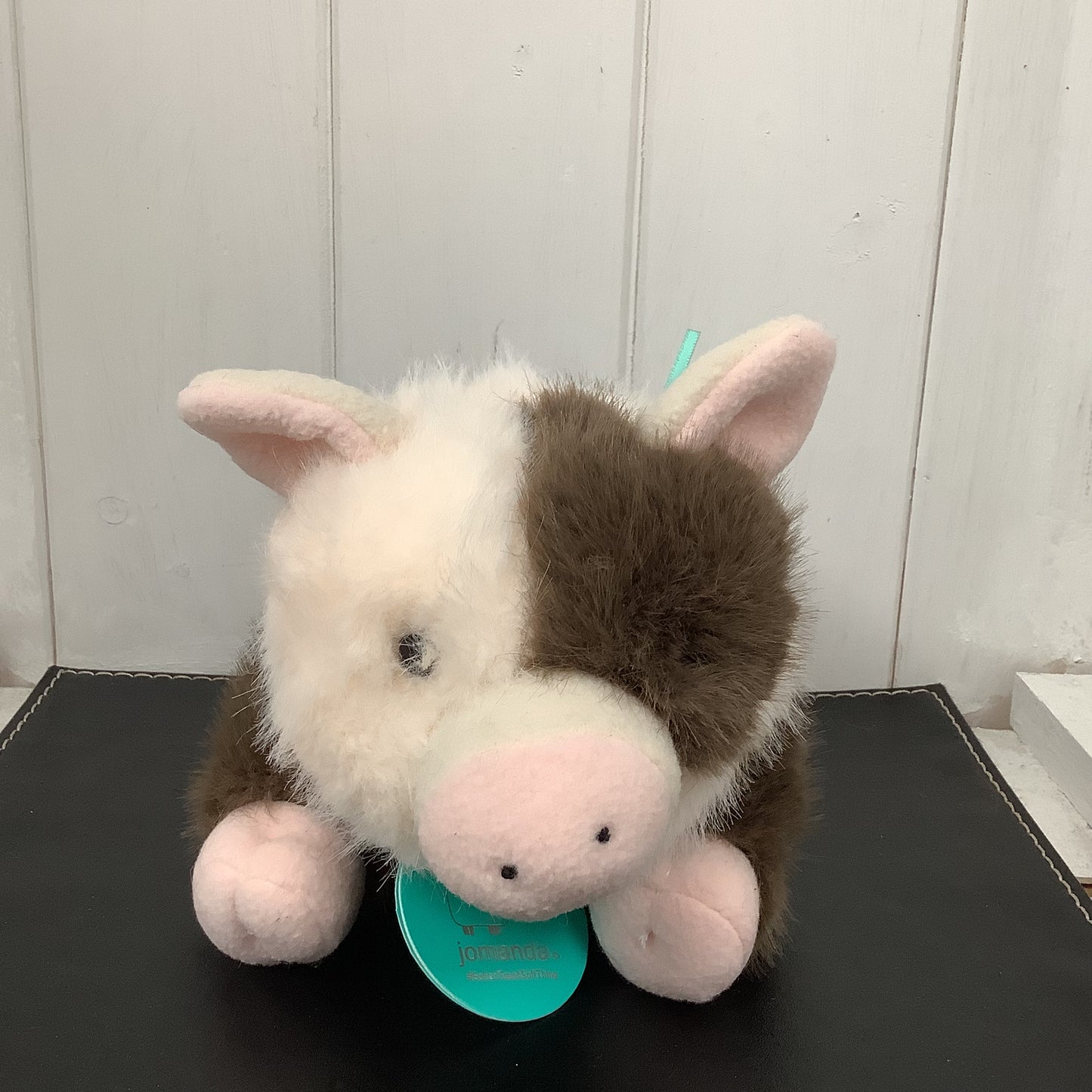 Adorable Spotty Pig