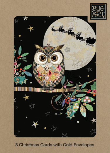 Christmas Owl Box of Christmas Cards