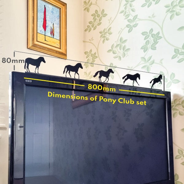 Pony Club Set