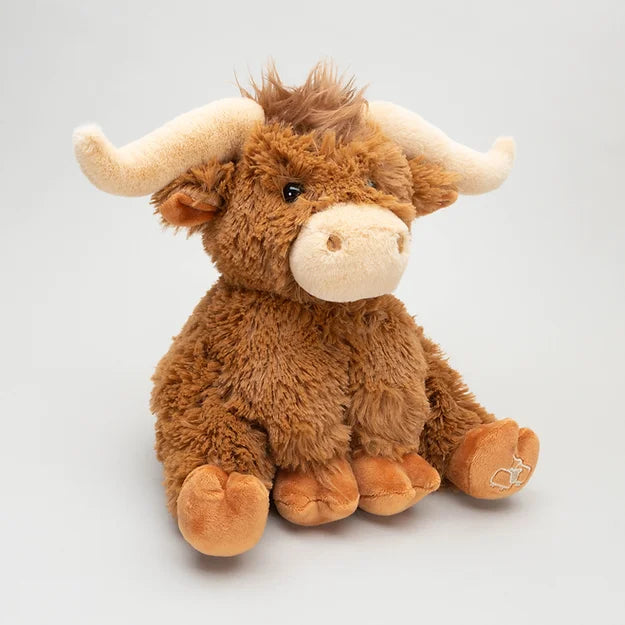 Horny Highland Cow