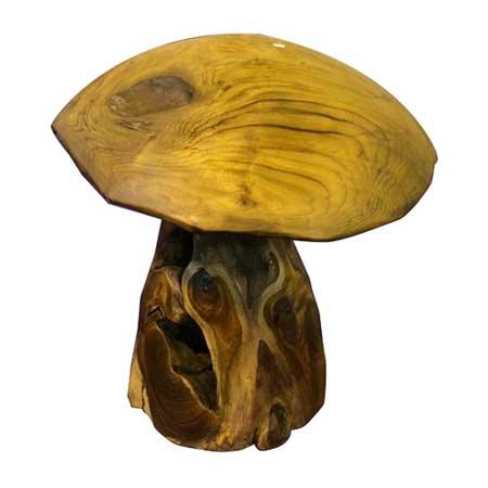 Teak Root Mushroom - The Coast Office