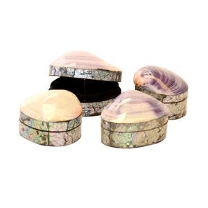 Jewellery Shell Box - The Coast Office