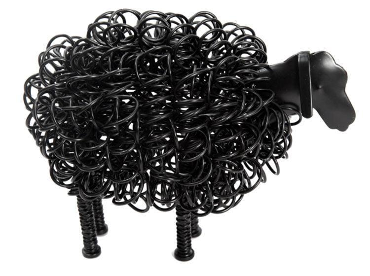 Wiggle Sheep - The Coast Office