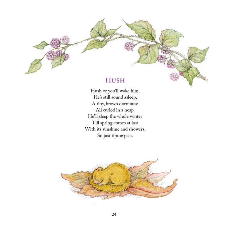 BOOK - 'The Way To Faerieland' - The Coast Office