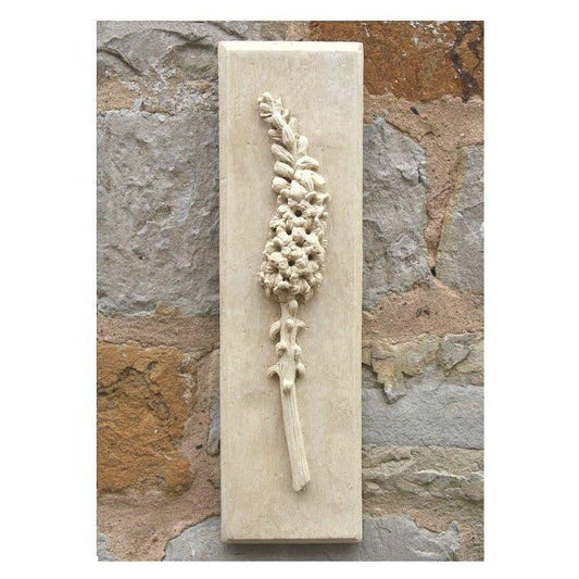 Foxglove - The Coast Office